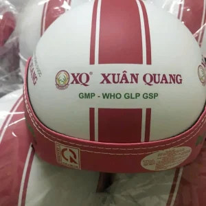 Nón Bảo Hiểm In Logo Công Ty Dược Xuân Quang | Xưởng Sản Xuất Nón Bảo Hiểm Quà Tặng Eikichi
